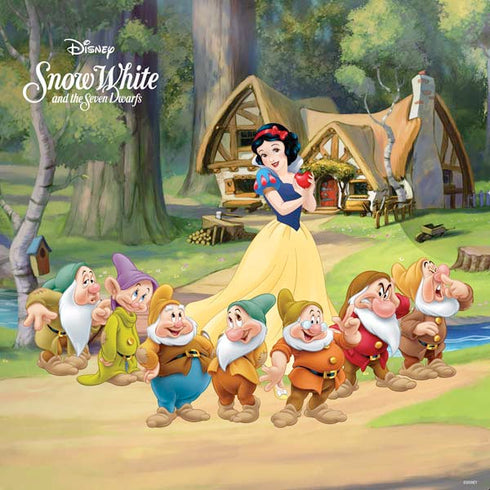 Disney Snow White Classic Cover PS4 Pro Console Skin