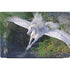 Laurie Prindle Soaring Pegasus Dell Vostro Skin