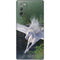 Laurie Prindle Soaring Pegasus Galaxy Note20 5G Skin