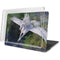 Laurie Prindle Soaring Pegasus MacBook Pro 16in (2019-20) Case plus Skin