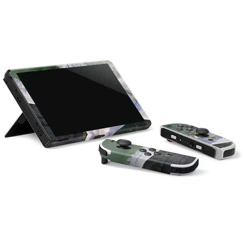 Laurie Prindle Soaring Pegasus Nintendo Switch OLED (2021) Skin