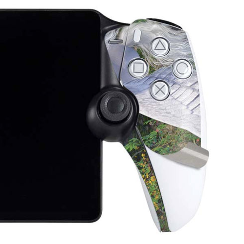 Soaring Pegasus by Laurie Prindle PlayStation Portal Remote Player Skin