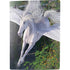 Laurie Prindle Soaring Pegasus PS5 Digital Edition Console Skin