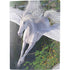 Laurie Prindle Soaring Pegasus PS5 Digital Edition Console Skin