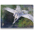 Laurie Prindle Soaring Pegasus Surface Book 2 13.5in Skin