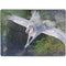 Laurie Prindle Soaring Pegasus Surface Pro 9 Skin