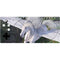 Laurie Prindle Soaring Pegasus Xbox Adaptive Controller Skin