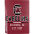 University of South Carolina Columbia SC, EST. 1801 PS5 Bundle Skin