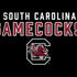 University of South Carolina Gamecocks Black Dell Alienware Skin