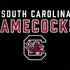 University of South Carolina Gamecocks Black HP Spectre Skin