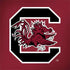 University of South Carolina Gamecocks Logo Red Notebook 9 Pro 13in (2017) Skin