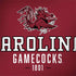 University of South Carolina Gamecocks Red Legion Y720 Skin