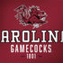 University of South Carolina Gamecocks Red Notebook 9 Pro 13in (2017) Skin