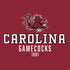 University of South Carolina Gamecocks Red PS4 Slim Skin