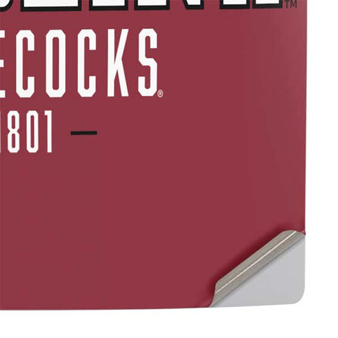 University of South Carolina Gamecocks Red PS5 Console Skin