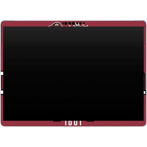 University of South Carolina Gamecocks Red Surface Pro 9 Skin