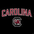 University of South Carolina Athletic Text & Logo PS4 Slim Skin