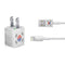 South Korean Flag Distressed iPhone Charger (5W USB) Skin