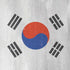 South Korean Flag Distressed iPhone XR Skin
