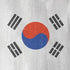 South Korean Flag Distressed iPhone XS Max Skin