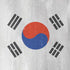 South Korean Flag Distressed iPhone XS Skin