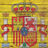 Spain Flag Dark Wood iPhone XR Pro Case