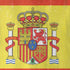 Spain Flag Distressed iPhone XR Skin