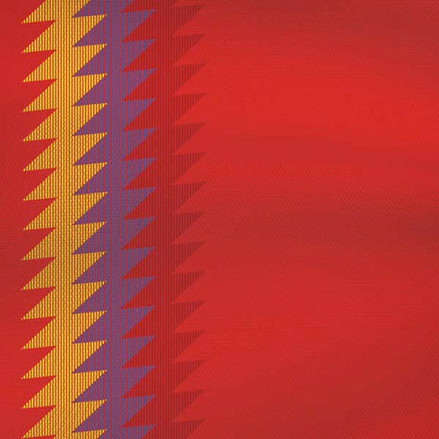 Spain Soccer Flag iPhone XS Max Skin