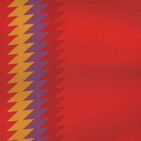 Spain Soccer Flag iPhone XS Skin