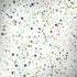 Speckled Funfetti iPhone X Pro Case