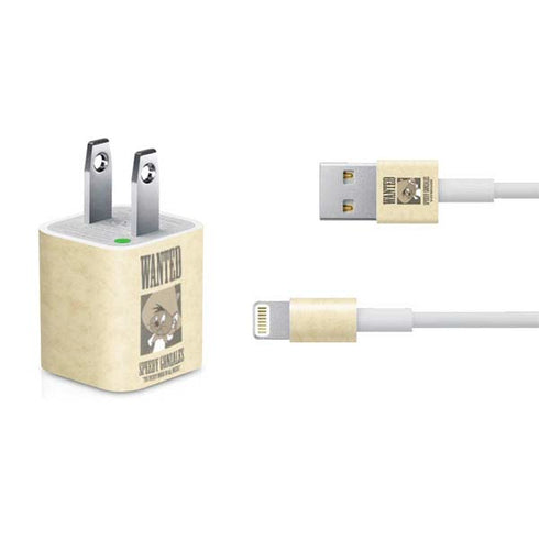 Looney Tunes Speedy Gonzales- Andale! Andale! iPhone Charger (5W USB) Skin