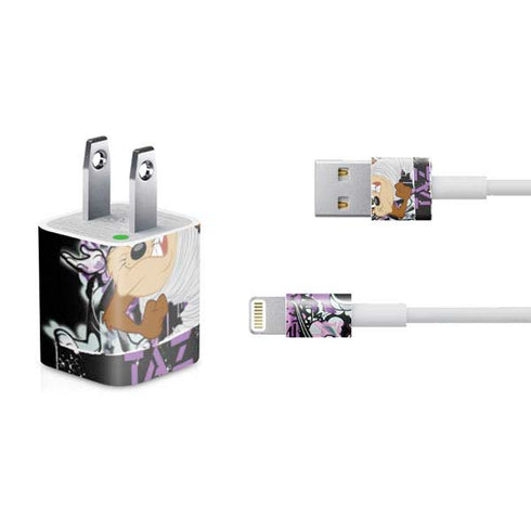 Looney Tunes Splatter Paint Tasmanian Devil iPhone Charger (5W USB) Skin