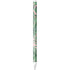 Spring Palm Leaves Apple Pencil (1st Gen, 2017) Skin