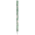 Spring Palm Leaves Apple Pencil (2nd Gen 2019) Skin