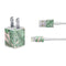 Spring Palm Leaves iPhone Charger (5W USB) Skin