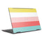 Spring Stripes HP Envy Skin
