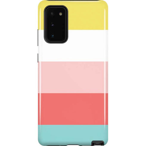 Spring Stripes Galaxy Note20 5G Pro Case