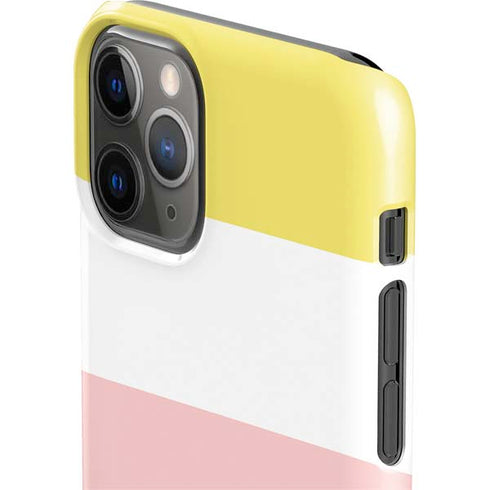 Spring Stripes iPhone 11 Pro Lite Case