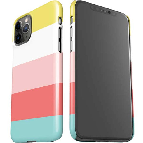 Spring Stripes iPhone 11 Pro Lite Case