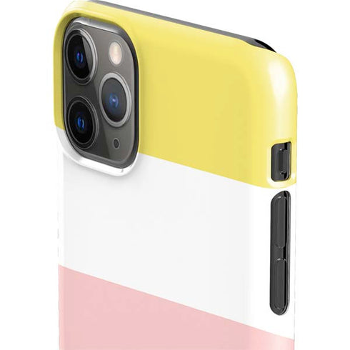 Spring Stripes iPhone 11 Pro Max Lite Case
