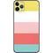 Spring Stripes iPhone 11 Pro Max Skin