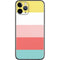 Spring Stripes iPhone 11 Pro Skin