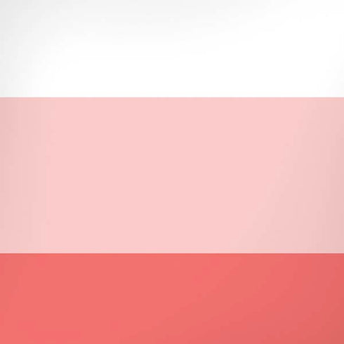 Spring Stripes iPhone XS Max Skin