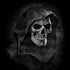 Alchemy St Levantius Remains Amazon Echo Skin