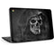 Alchemy St Levantius Remains HP Chromebook Skin
