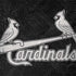 MLB St Louis Cardinals Dark Wash Legion Y720 Skin