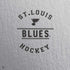 NHL St. Louis Blues Black Text PS4 Pro Bundle Skin
