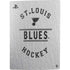 NHL St. Louis Blues Black Text PS5 Bundle Skin