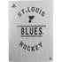 NHL St. Louis Blues Black Text PS5 Digital Edition Bundle Skin