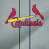 MLB St. Louis Cardinals Alternate/Away Jersey iPhone XR Skin